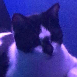 Meet your Posher, James